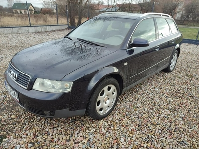 Audi A4 II (B6) Skóra Nawigacja Dvd Alu Zadbana