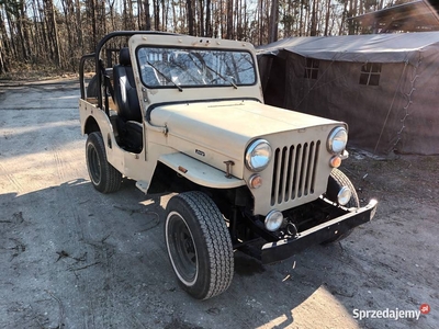 Jeep Willys CJ 3 B