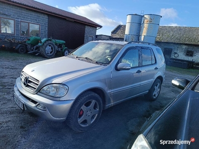 Mercedes ML W163 270CDI