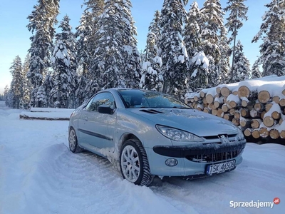 Peugeot 206cc 1.6 cabrio Super stan