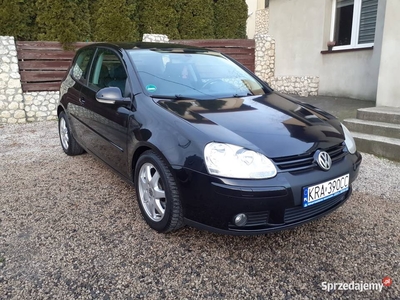 VW Golf V 1,6 benzyna