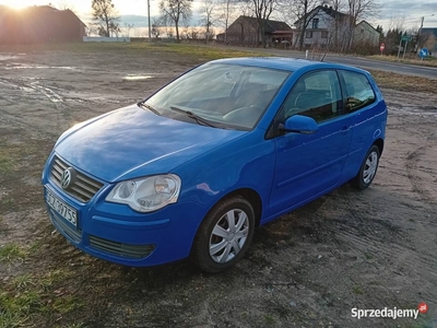 Vw Polo 9n lift ŚWIEŻO PO PRZEGLĄDZIE