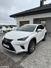 Lexus NX 300 Business Edition AWD