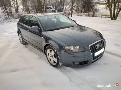 Audi A3 8P Spotrback 2.0TDI