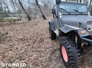 Używany Jeep Wrangler 1990