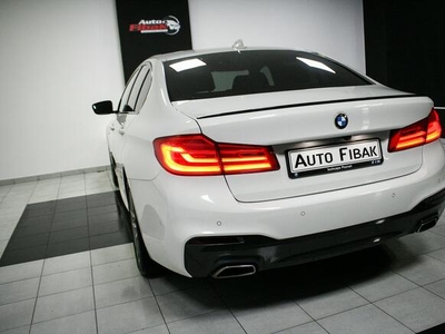 520d*xDrive*M-Pakiet*Salon Polska*Vat23%