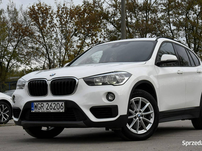 BMW X1 1.5 140 KM* Salon PL* Vat23%* 1 Wł* Serwis ASO* Auto…