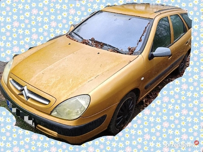 Citroen Xsara 1.6 benzyna + gaz