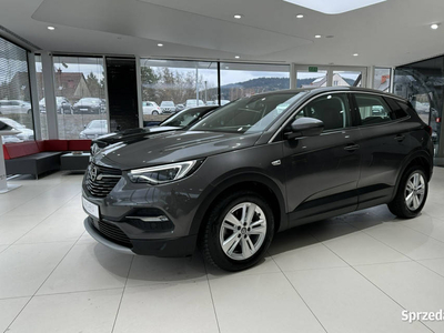 Opel Grandland X Edition S&S, NAVI, SalonPL, 1-wł, FV23%, G…