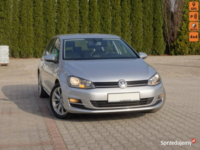 Volkswagen Golf 4 Motion Navi Klima 4 x 4 VII (2012-)