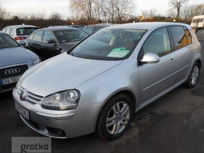 Volkswagen Golf V Hatchback 2.0 TDI 140KM 2007