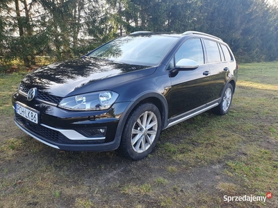 Volkswagen Golf VII Alltrack 4x4 1.6 TDI 110 KW