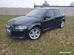 Audi A3 1.9tdi 105KM Sportback LIFT Raty Zamian 8P (2003-2012)