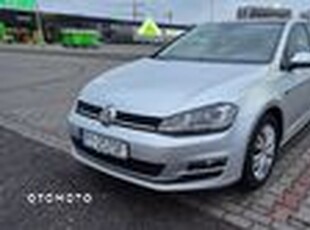 Używany Volkswagen Golf 2015