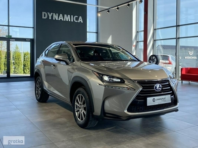 Lexus NX NX 14- 300H 2.5 hybrid 197KM E-CVT 2017 r., salon PL, f-a VAT