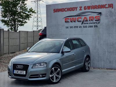 Audi A3 8P Hatchback 3d 1.4 TFSI 125KM 2010