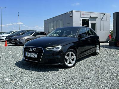 Audi A3 8V Sportback 5d Facelifting 2.0 35 TDI 150KM 2019