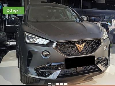 Cupra 2023