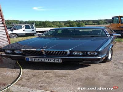 Jaguar XJ12 6.0, perełka