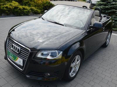 Używane Audi A3 - 29 900 PLN, 244 532 km, 2008