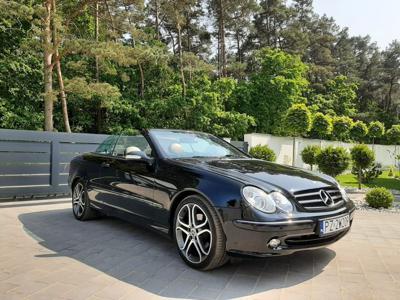 Używane Mercedes-Benz CLK - 39 900 PLN, 203 512 km, 2004