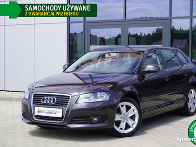 Audi A3 1.6 MPI! Climatronic x2, Grzane fotele Alu GWARANCJA Bezwypadek Se…