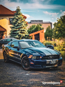 Mustang Pony Package