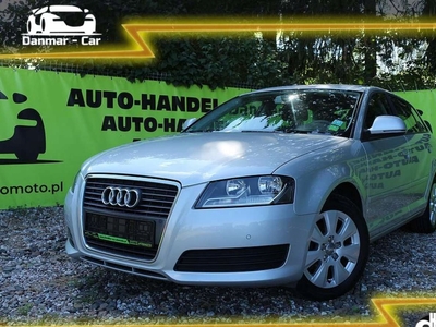 Audi A3 8P Hatchback 3d 1.4 TFSI 125KM 2010