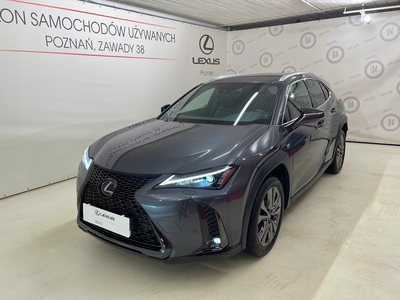 Lexus 2023