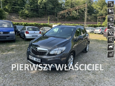 Opel Mokka 1.6CDTi-136km-Serwisowany-Bezwypadkowy-Navi-Kamera-2 x PDC-1-Właścic