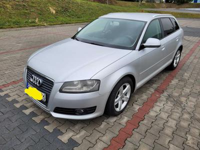 Audi A 3 8 P 1,6 TDI