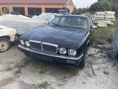 Jaguar xj40 środek daimler