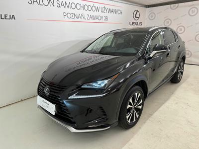 Lexus NX I SUV Facelifting 300 238KM 2021