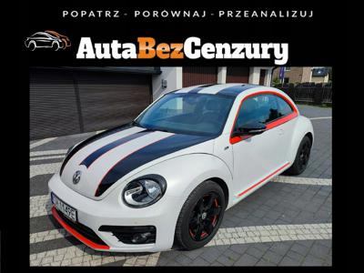 Volkswagen Beetle 2013