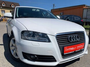 Audi A3 8P Hatchback 3d 1.6 102KM 2009