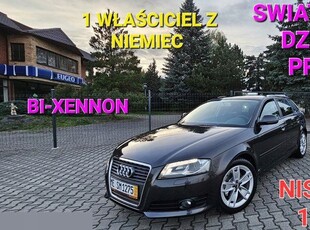 Audi A3 8P Hatchback 3d 1.6 TDI 105KM 2009