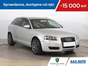 Audi A3 8P Hatchback 3d 2.0 TDI PD 140KM 2007