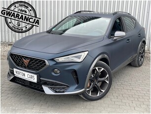 Cupra 2020