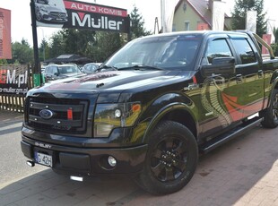 Ford 2013