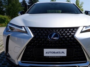 Lexus 2019