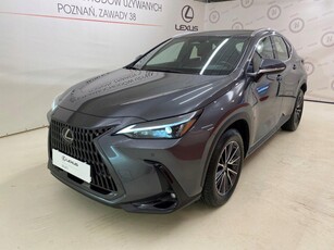 Lexus NX II 2022