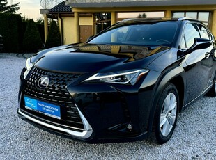 Lexus UX 2021