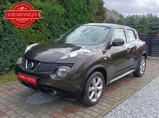 Nissan Juke 2013