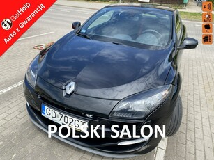 Renault Megane III RS, moc 265, polski salon, niski przebieg, bardzo zadbany stan