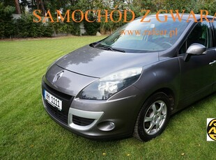 Renault Scenic III Van 1.4 TCe 16v 130KM 2010