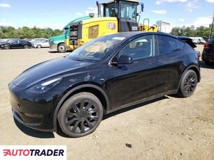 Tesla Model Y benzyna 2024r. (WINDSOR)