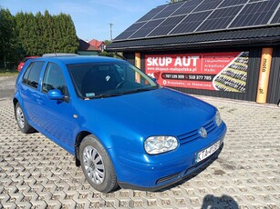 Volkswagen Golf IV Hatchback 1.9 TDI 110KM 1998