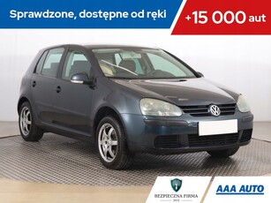 Volkswagen Golf V Hatchback 1.4 i 16V 75KM 2004