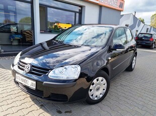 Volkswagen Golf V Hatchback 1.6 i 102KM 2004