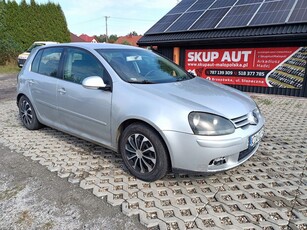 Volkswagen Golf V Hatchback 2.0 TDI 140KM 2004